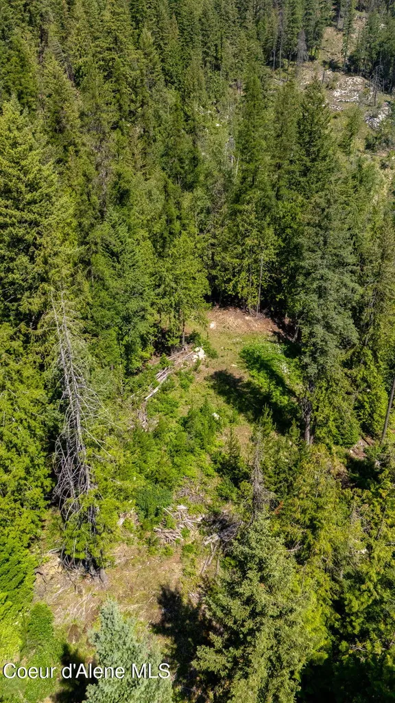 466 Rincon Drive Sandpoint ID 83864