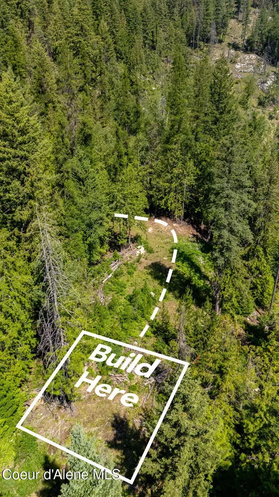 466 Rincon Drive Sandpoint ID 83864