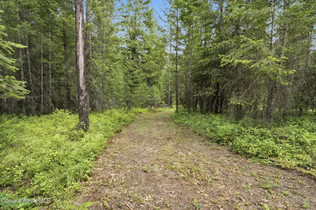 35907 Id-41 Oldtown ID 83822
