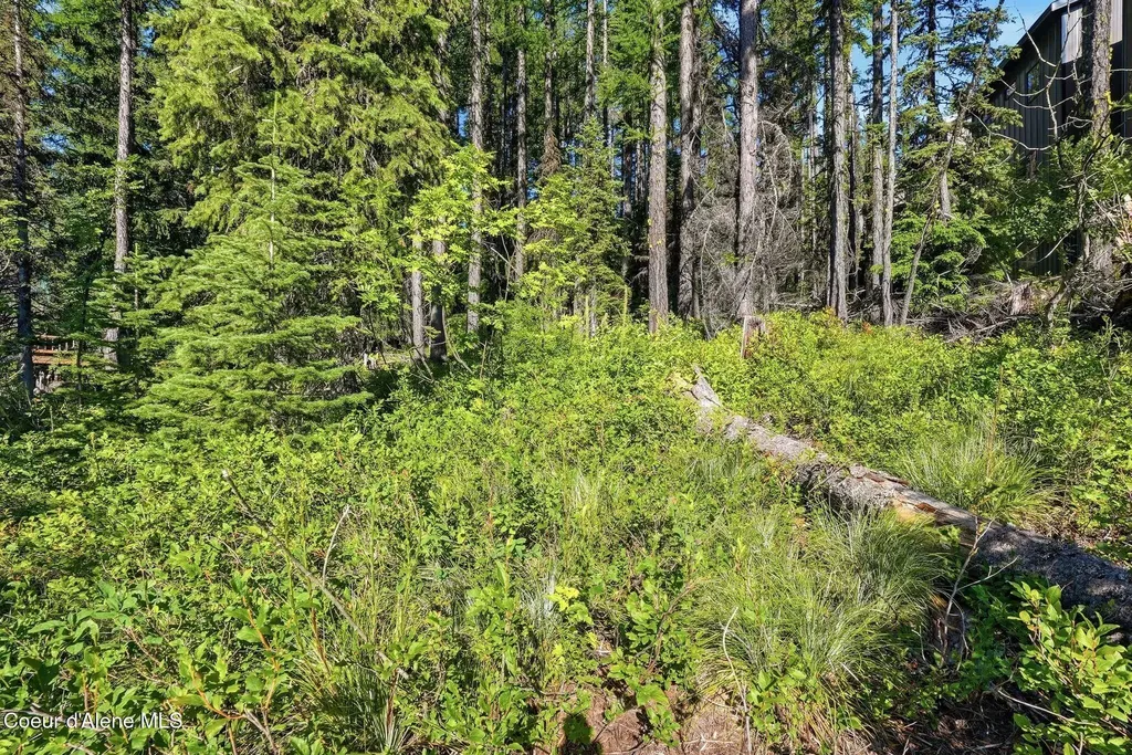 Nka Snowplow Road Sandpoint ID 83864