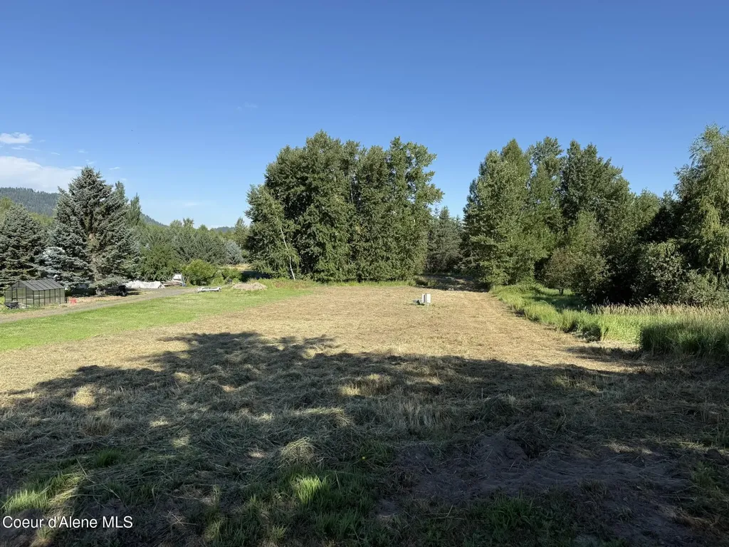 1194 Cottonwood Drive St. Maries ID 83861
