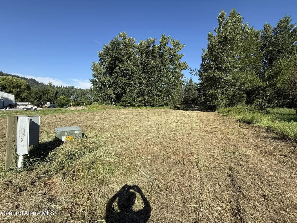 1194 Cottonwood Drive St. Maries ID 83861
