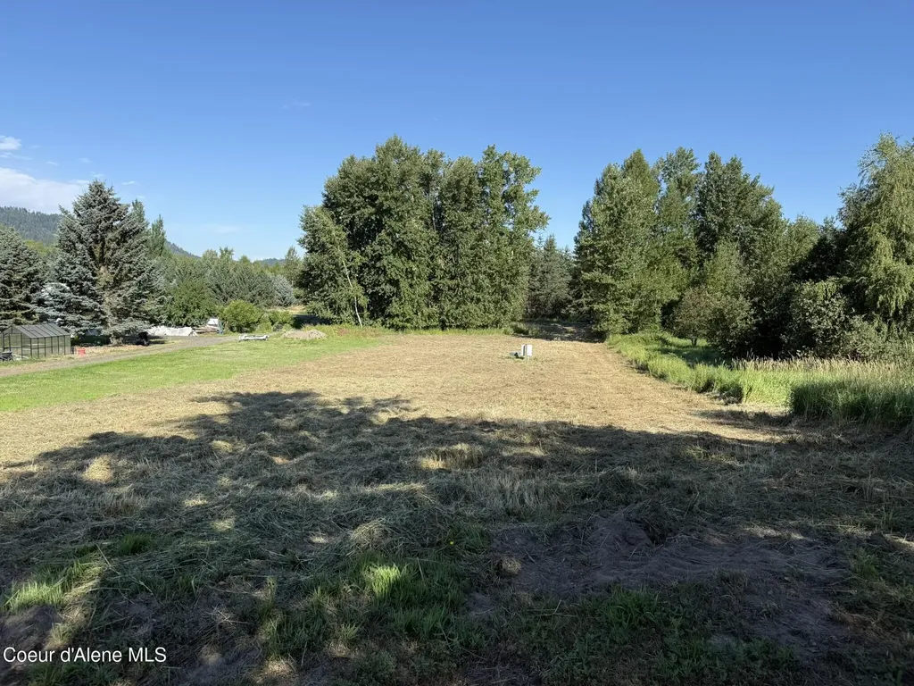 1194 Cottonwood Drive St. Maries ID 83861
