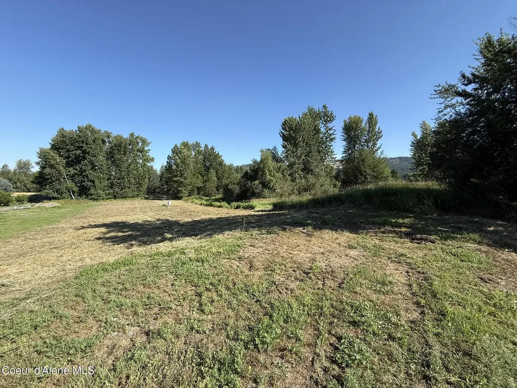1194 Cottonwood Drive St. Maries ID 83861