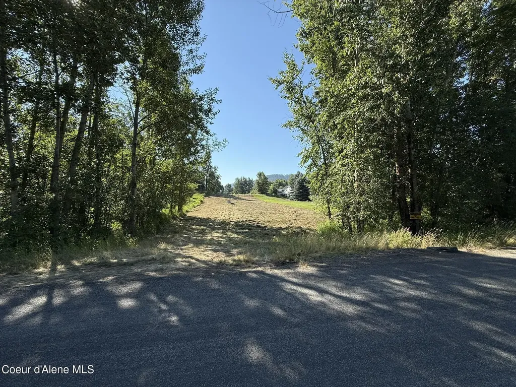 1194 Cottonwood Drive St. Maries ID 83861