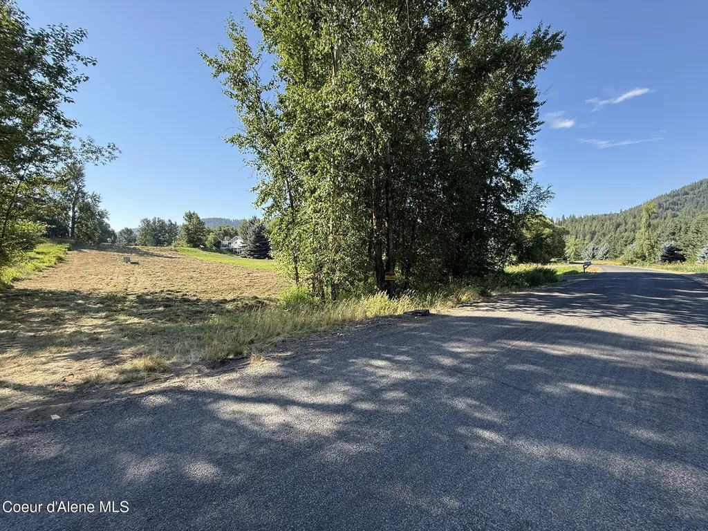 1194 Cottonwood Drive St. Maries ID 83861