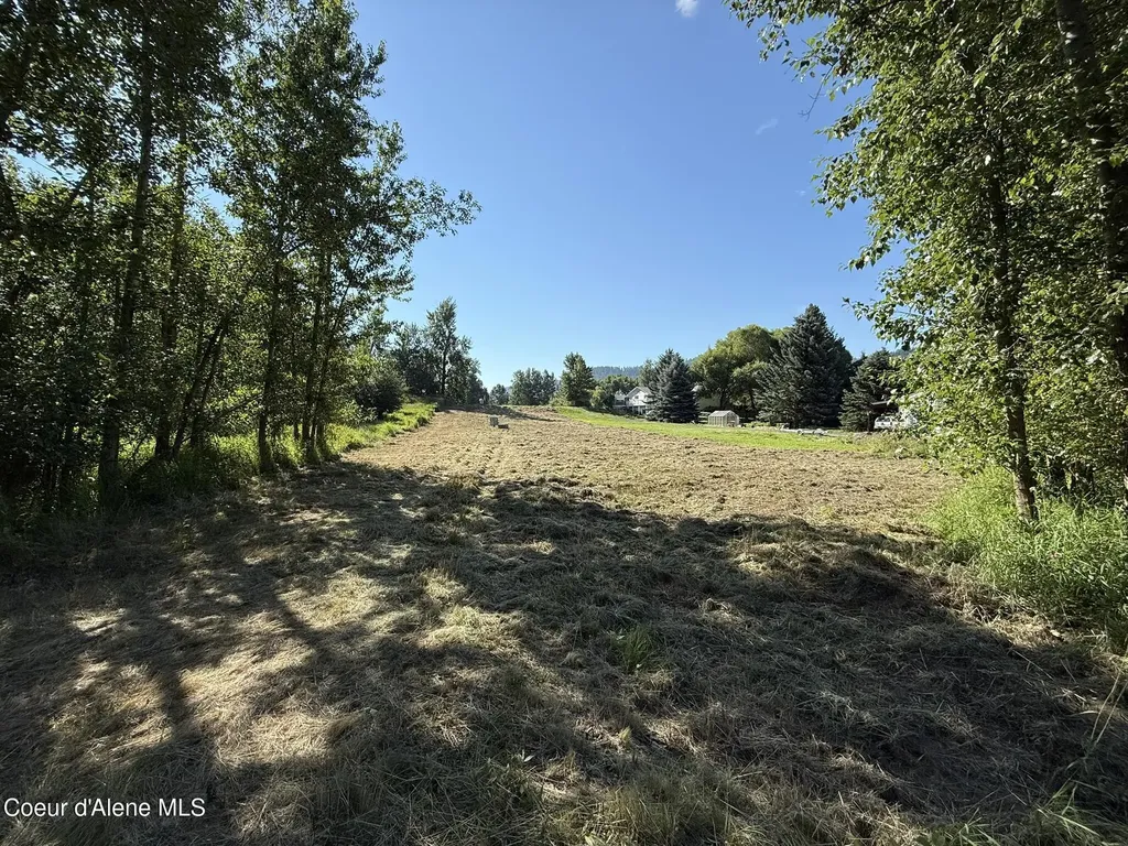 1194 Cottonwood Drive St. Maries ID 83861