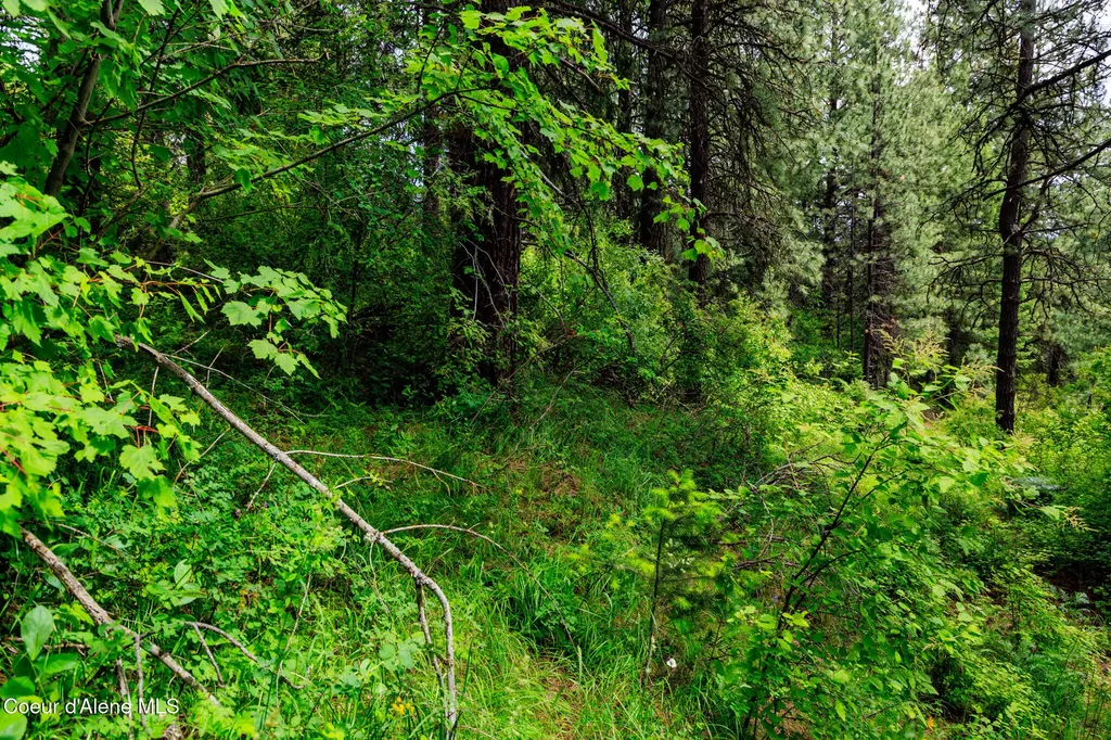 Nna W Sausser Drive Coeur D'alene ID 83814