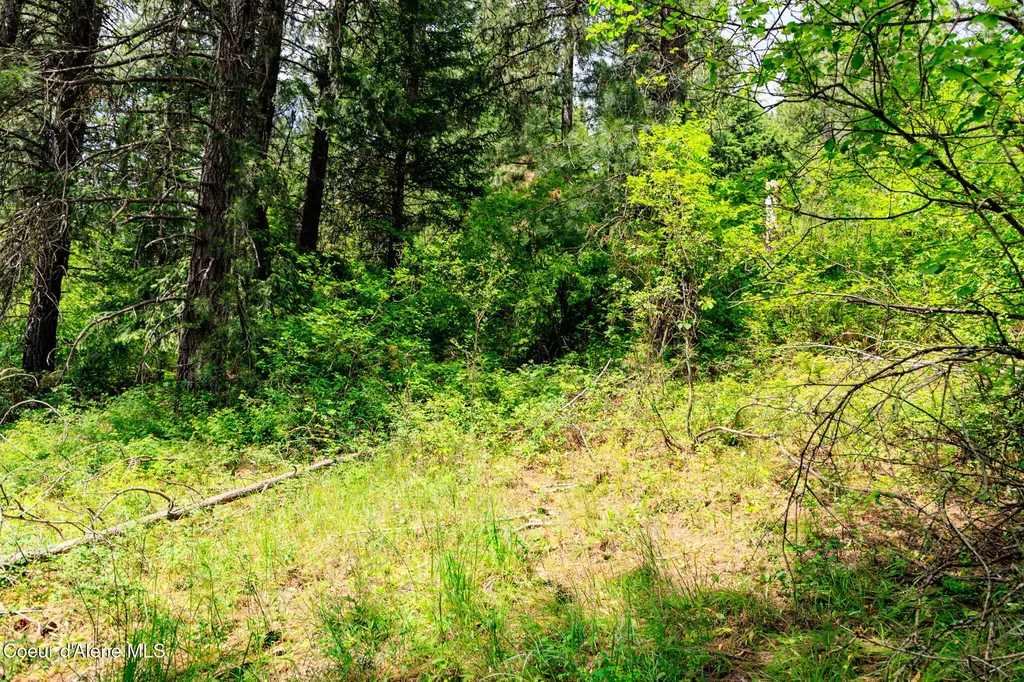 Nna W Sausser Drive Coeur D'alene ID 83814
