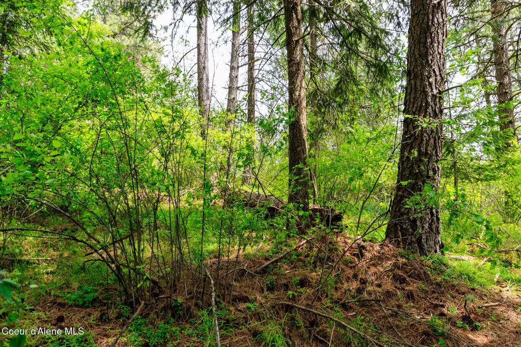 Nna W Sausser Drive Coeur D'alene ID 83814