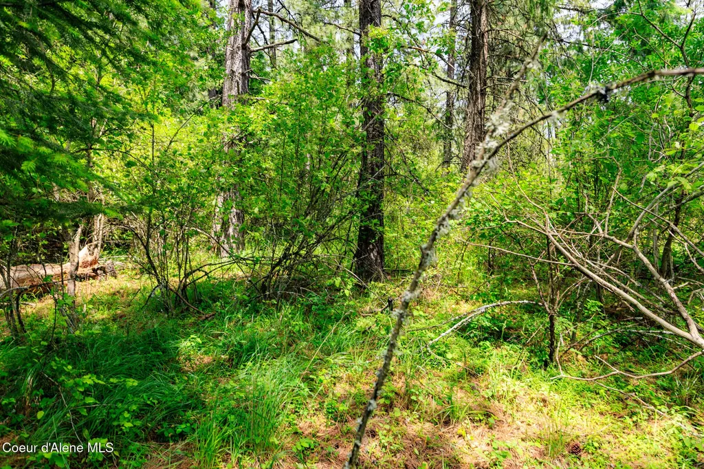 Nna W Sausser Drive Coeur D'alene ID 83814