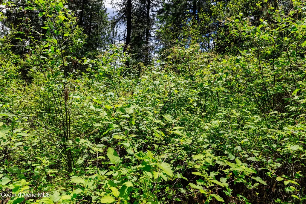 Nna W Sausser Drive Coeur D'alene ID 83814