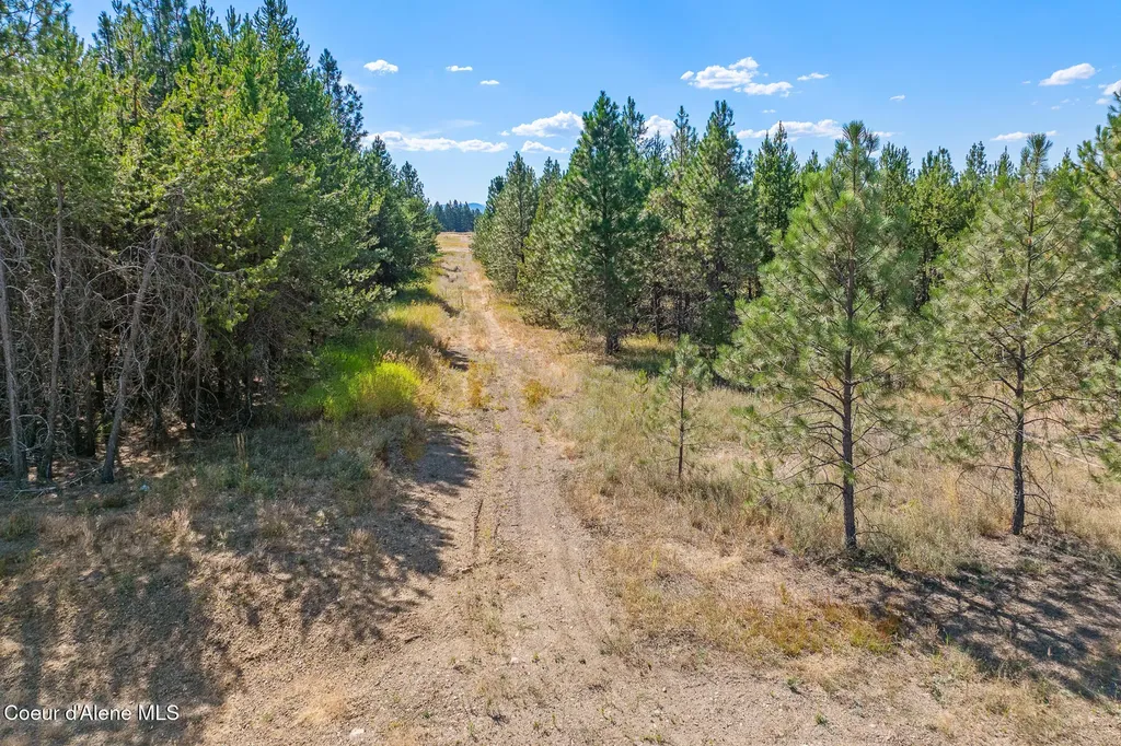 Lot 17 Asulkan Street Athol ID 83801