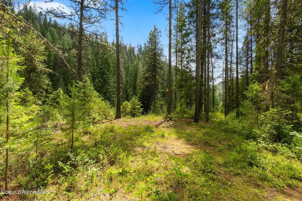 Nna Lantern Lane Sandpoint ID 83864