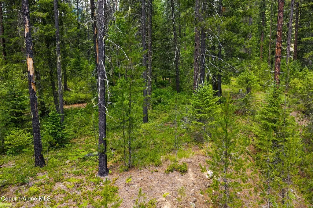 Nna Lantern Lane Sandpoint ID 83864
