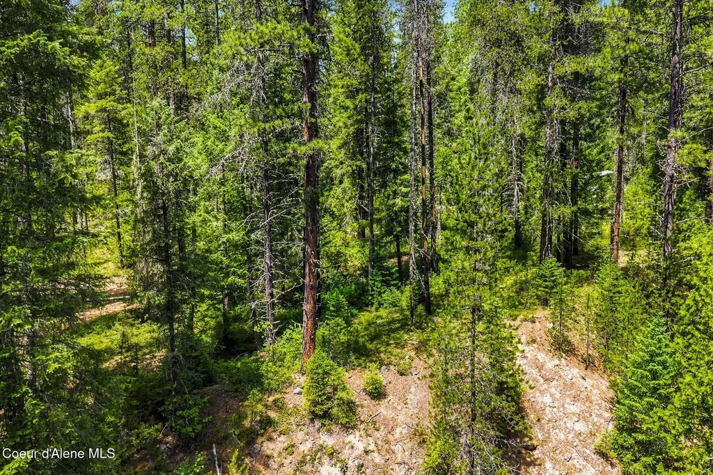 Nna Lantern Lane Sandpoint ID 83864
