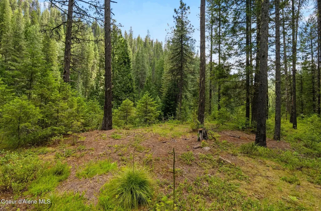Nna Lantern Lane Sandpoint ID 83864