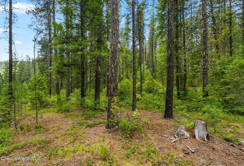 Nna Lantern Lane Sandpoint ID 83864
