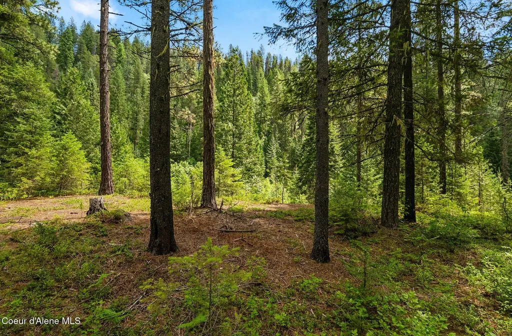 Nna Lantern Lane Sandpoint ID 83864