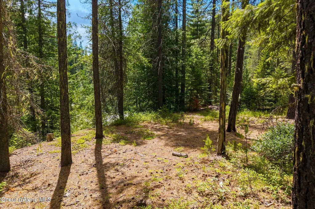 Nna Lantern Lane Sandpoint ID 83864