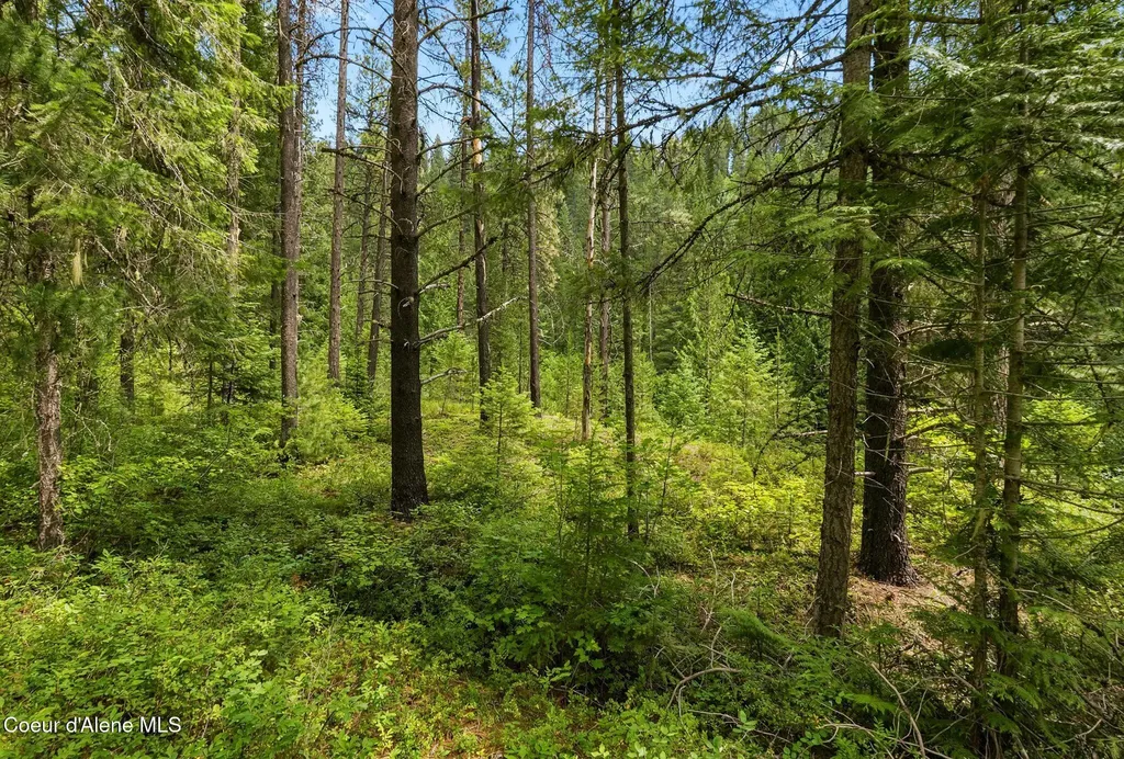 Nna Lantern Lane Sandpoint ID 83864