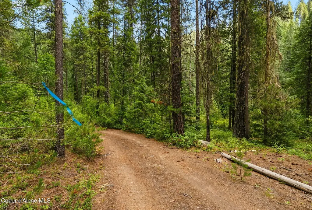 Nna Lantern Lane Sandpoint ID 83864