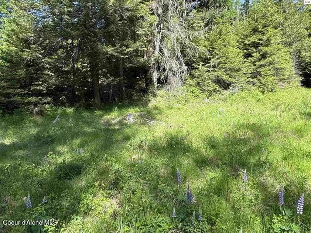 Nna Tanglewood Drive Priest River ID 83856