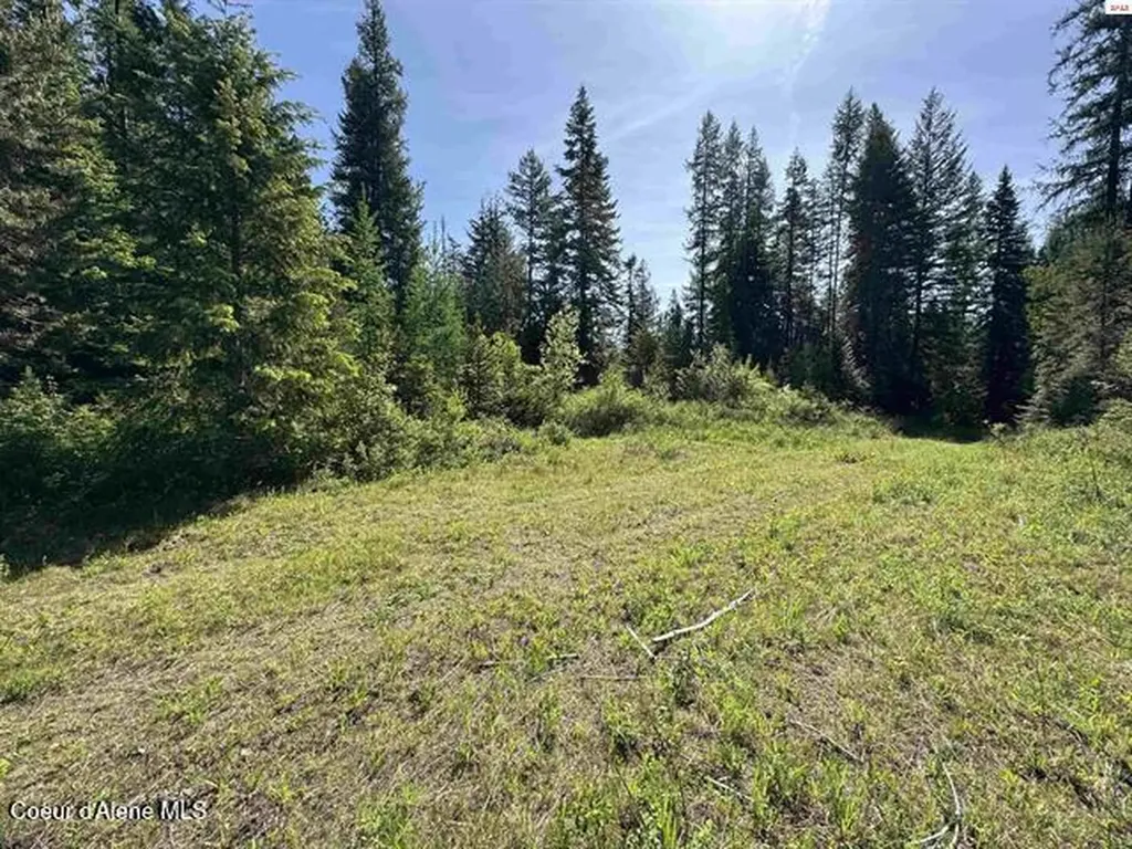Nna Tanglewood Drive Priest River ID 83856