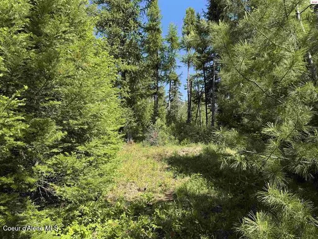Nna Tanglewood Drive Priest River ID 83856