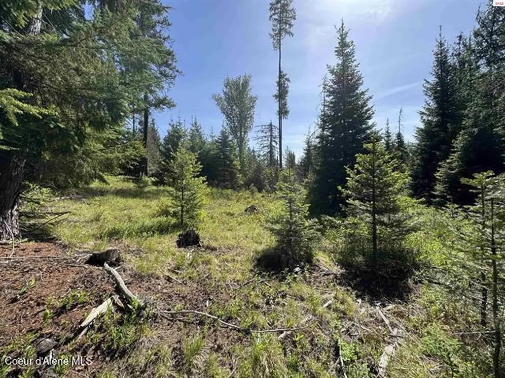 Nna Tanglewood Drive Priest River ID 83856