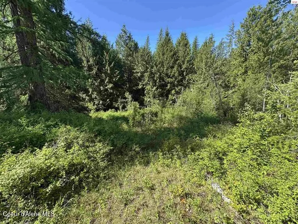 Nna Tanglewood Drive Priest River ID 83856