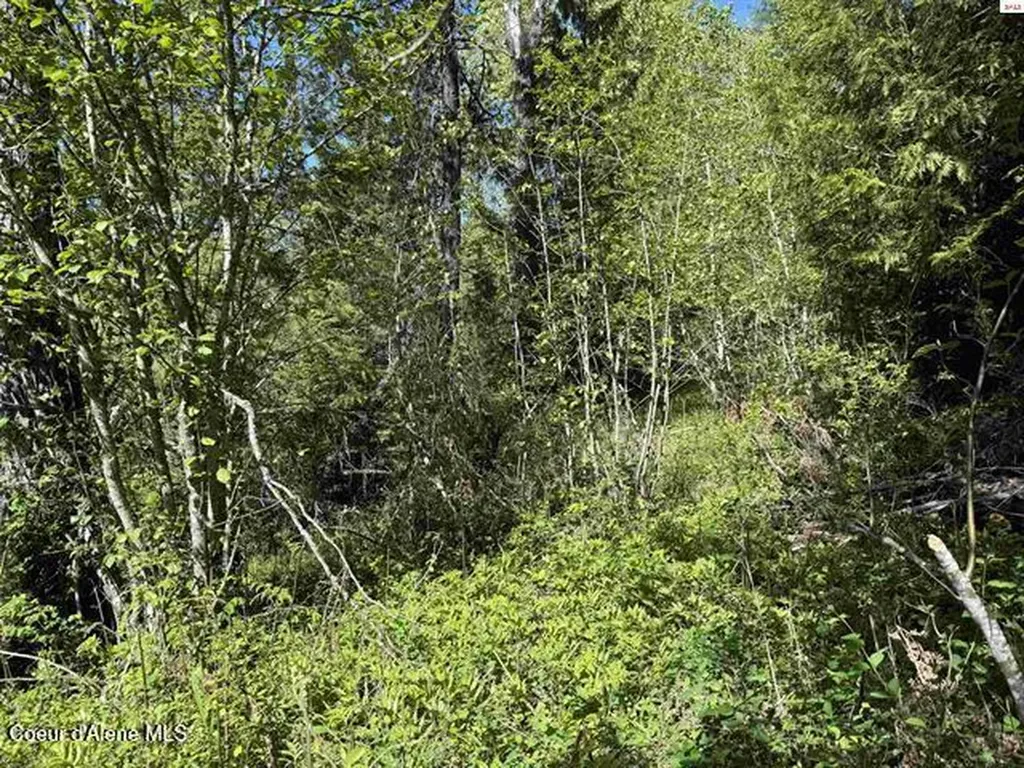 Nna Tanglewood Drive Priest River ID 83856