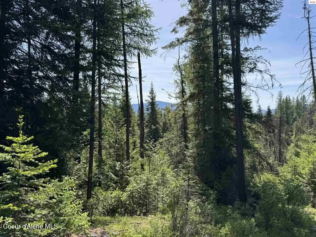 Nna Tanglewood Drive Priest River ID 83856