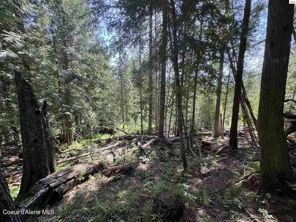Nna Tanglewood Drive Priest River ID 83856