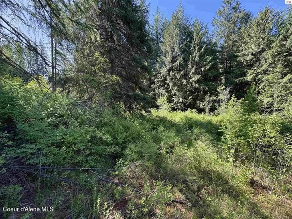 Nna Tanglewood Drive Priest River ID 83856