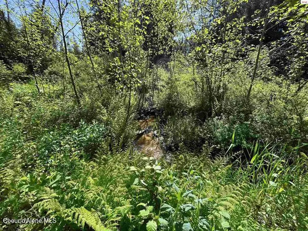 Nna Tanglewood Drive Priest River ID 83856
