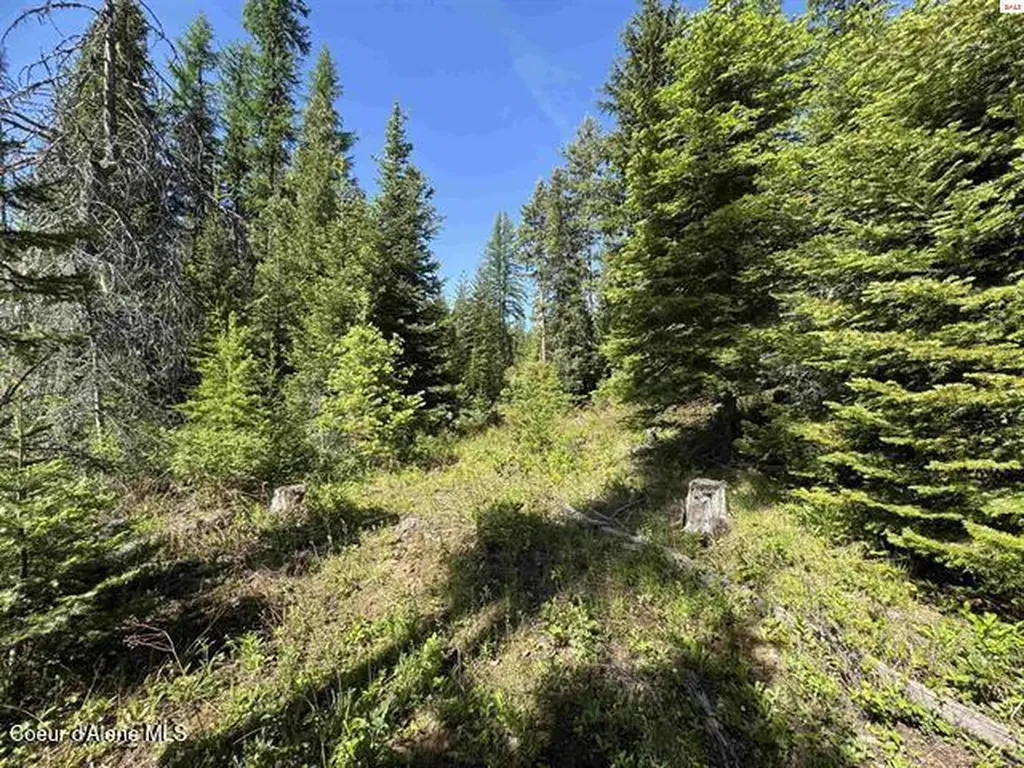 Nna Tanglewood Drive Priest River ID 83856