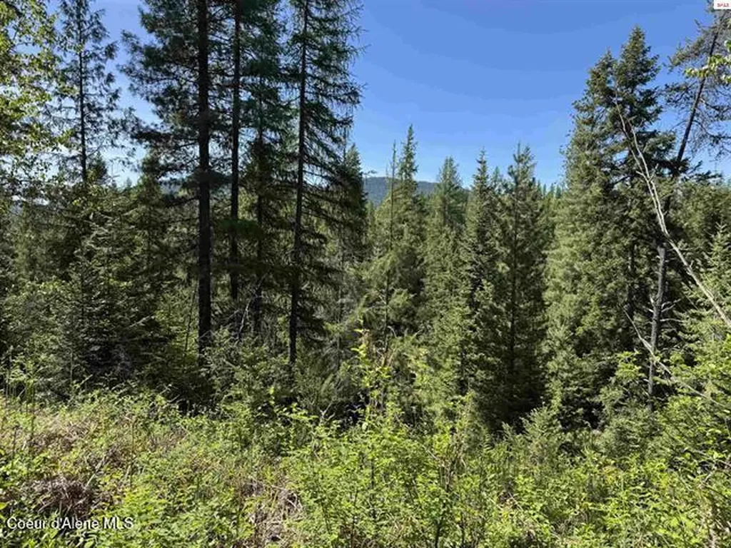 Nna Tanglewood Drive Priest River ID 83856