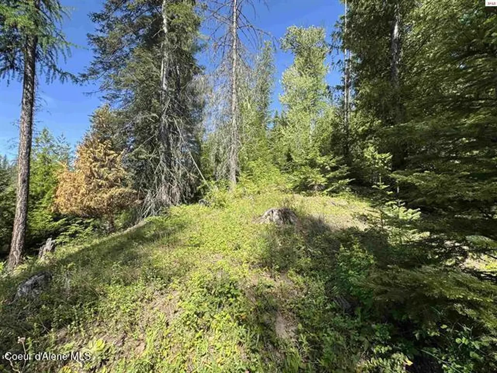Nna Tanglewood Drive Priest River ID 83856