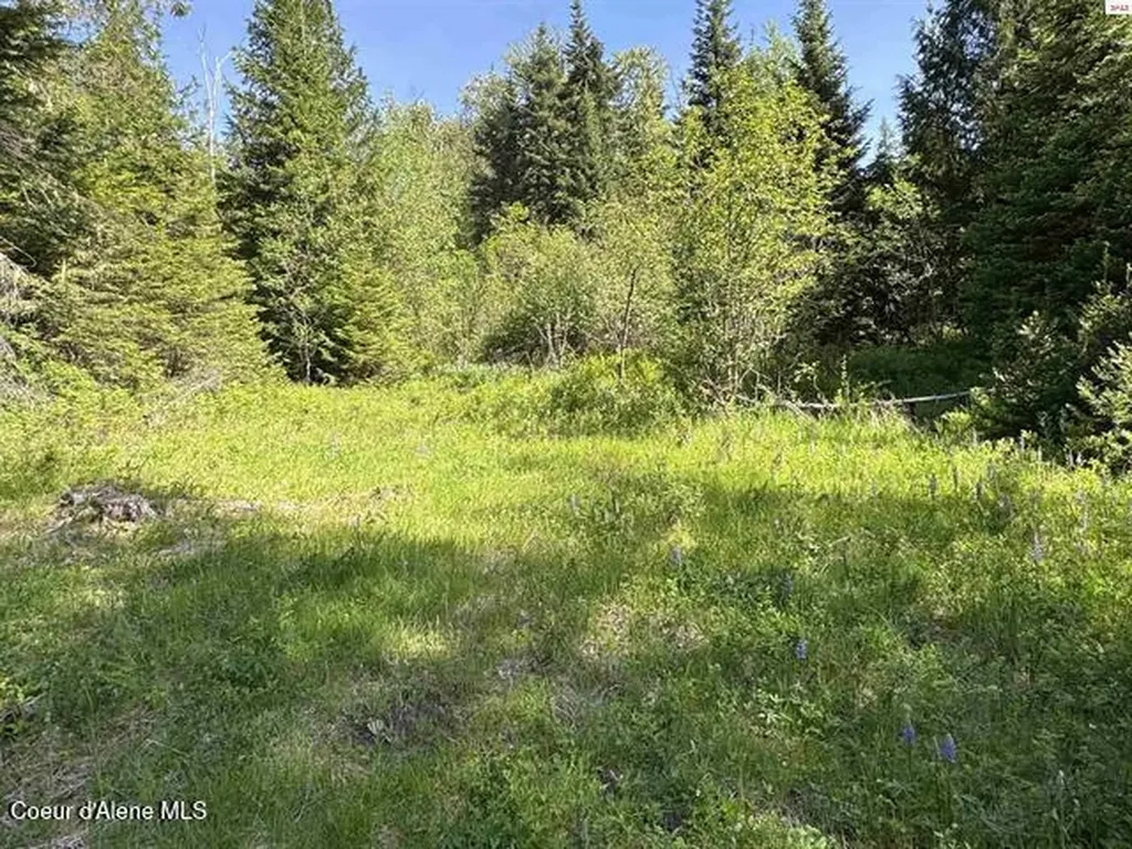 Nna Tanglewood Drive Priest River ID 83856
