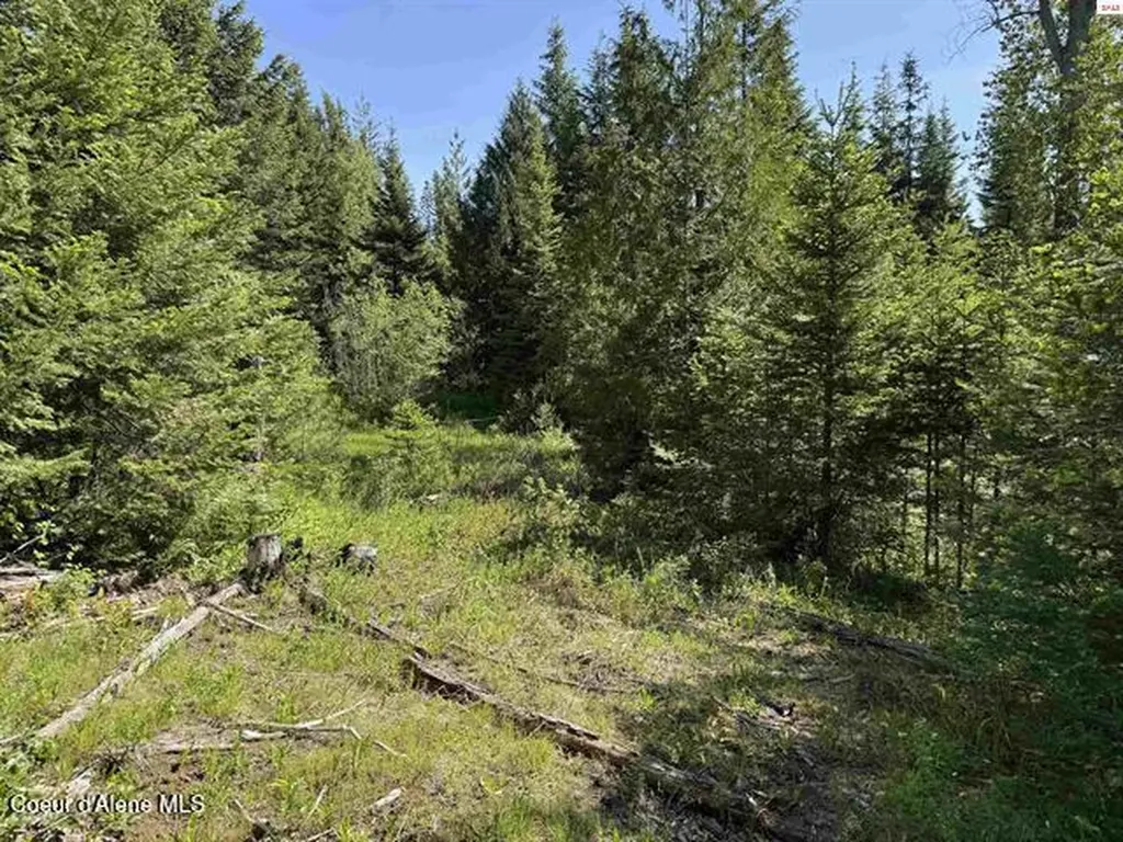 Nna Tanglewood Drive Priest River ID 83856