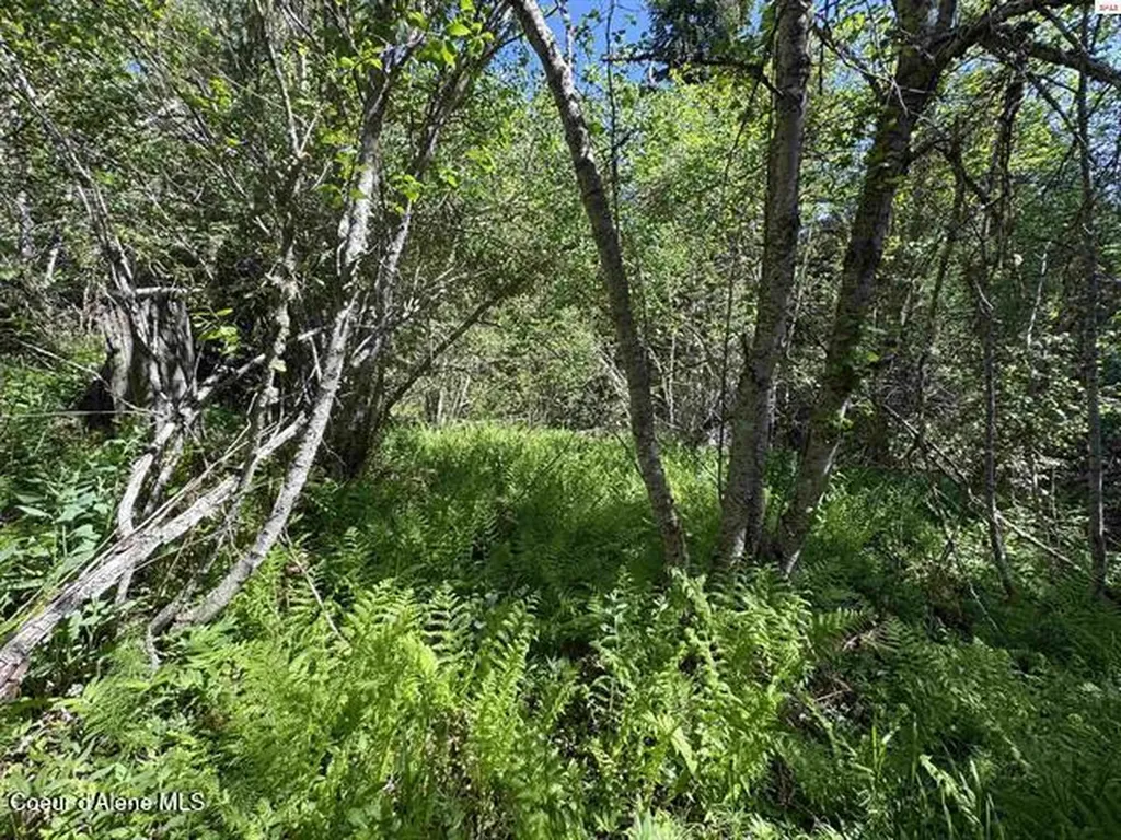 Nna Tanglewood Drive Priest River ID 83856