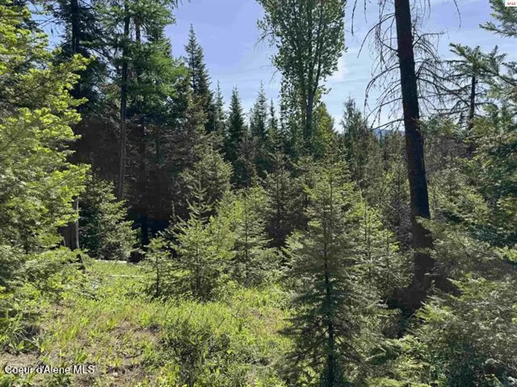 Nna Tanglewood Drive Priest River ID 83856