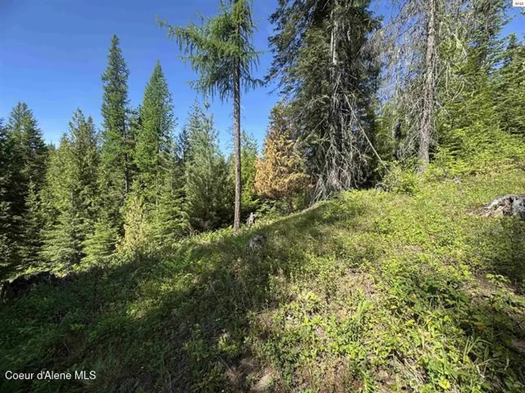 Nna Tanglewood Drive Priest River ID 83856