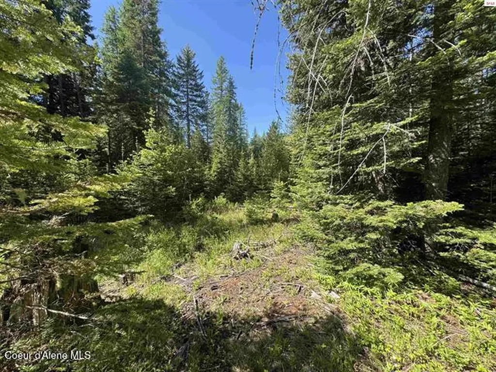 Nna Tanglewood Drive Priest River ID 83856