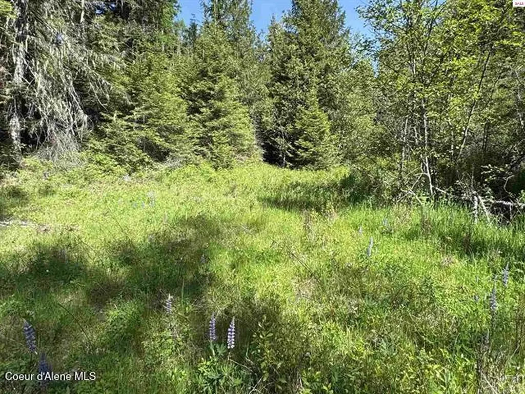 Nna Tanglewood Drive Priest River ID 83856