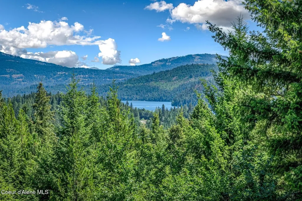 218 Topaz Trail Sandpoint ID 83864