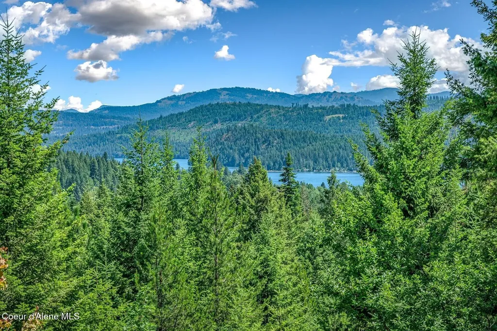 218 Topaz Trail Sandpoint ID 83864