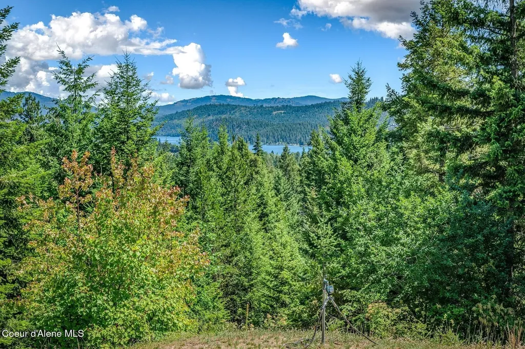 218 Topaz Trail Sandpoint ID 83864