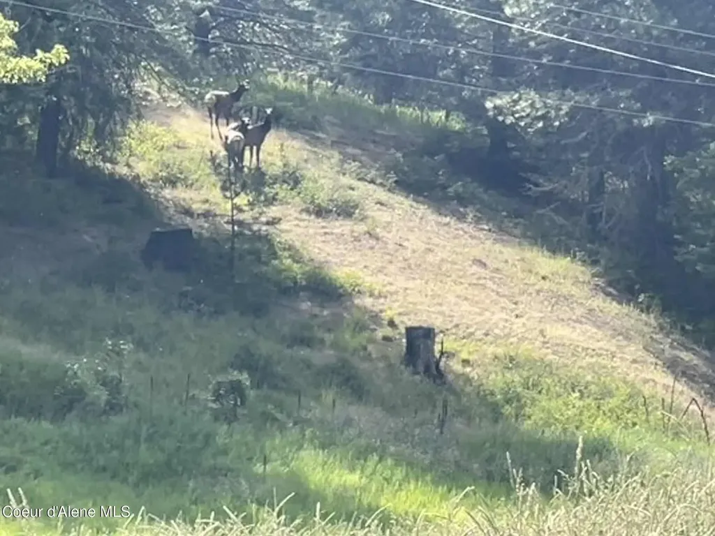 2447 Turner Hill Road Bonners Ferry ID 83805